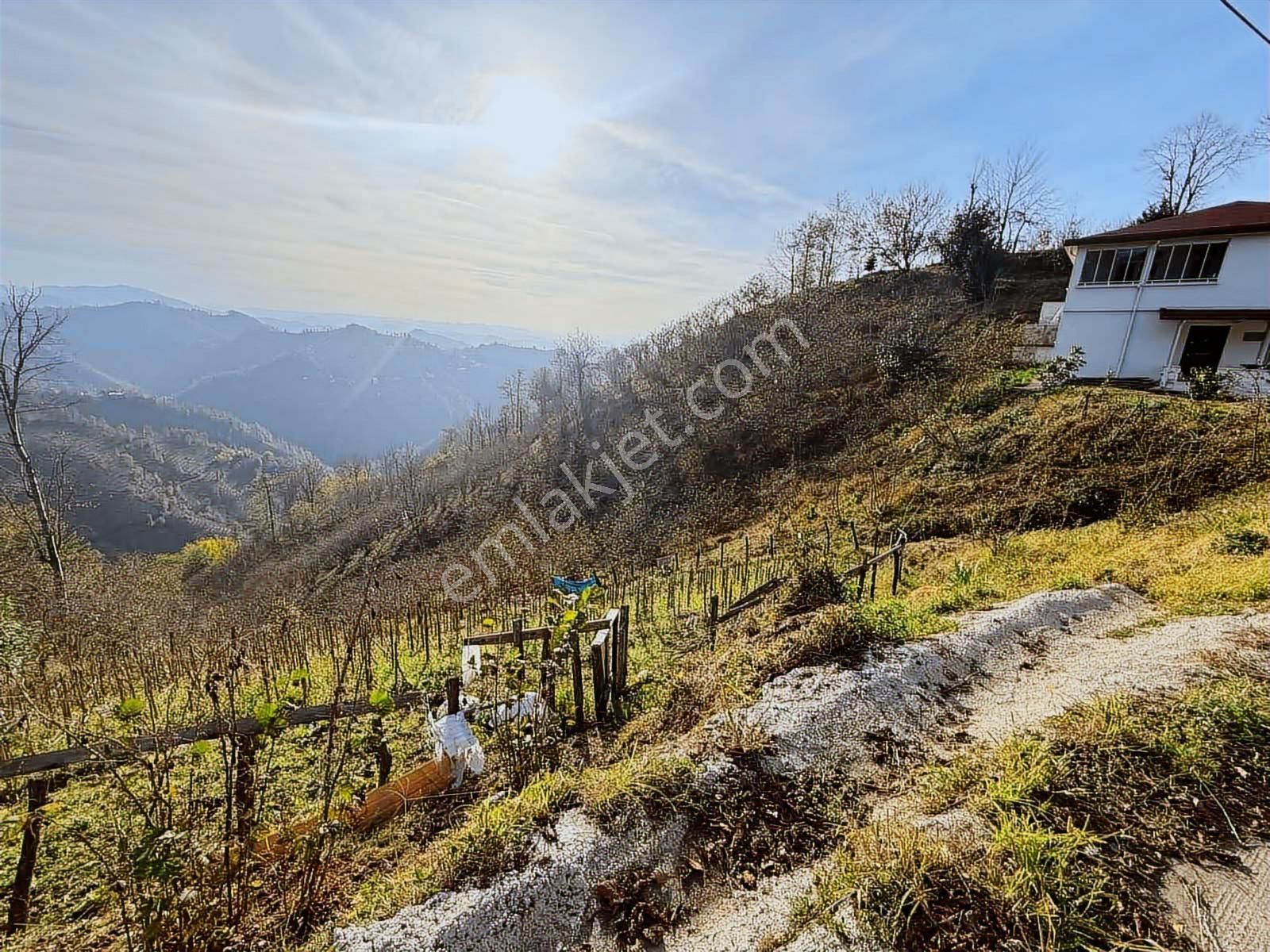 Reksa Gayrimenkul'den Perşembe Sırakovancıda Satılık Bahçe - Görsel 5
