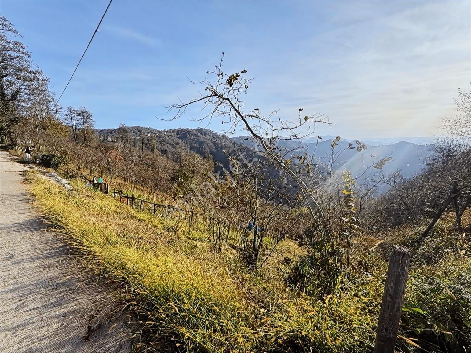 Reksa Gayrimenkul'den Perşembe Sırakovancıda Satılık Bahçe - Görsel 4