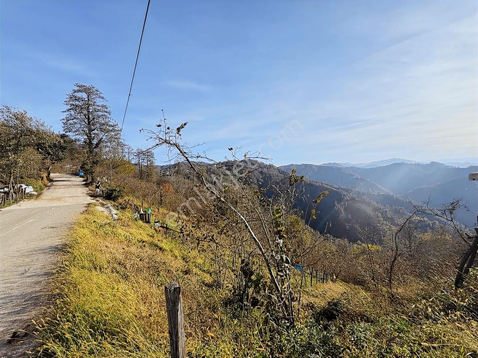 Reksa Gayrimenkul'den Perşembe Sırakovancıda Satılık Bahçe - Görsel 11