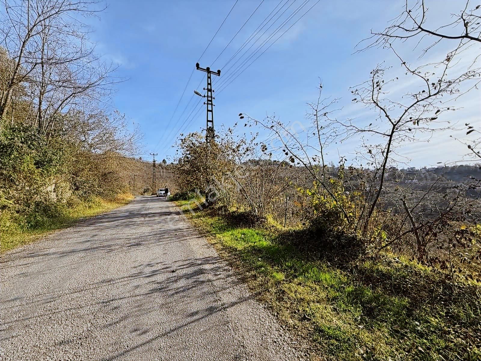 Reksa Gayrimenkul'den Perşembe Sırakovancıda Satılık Bahçe - Görsel 15