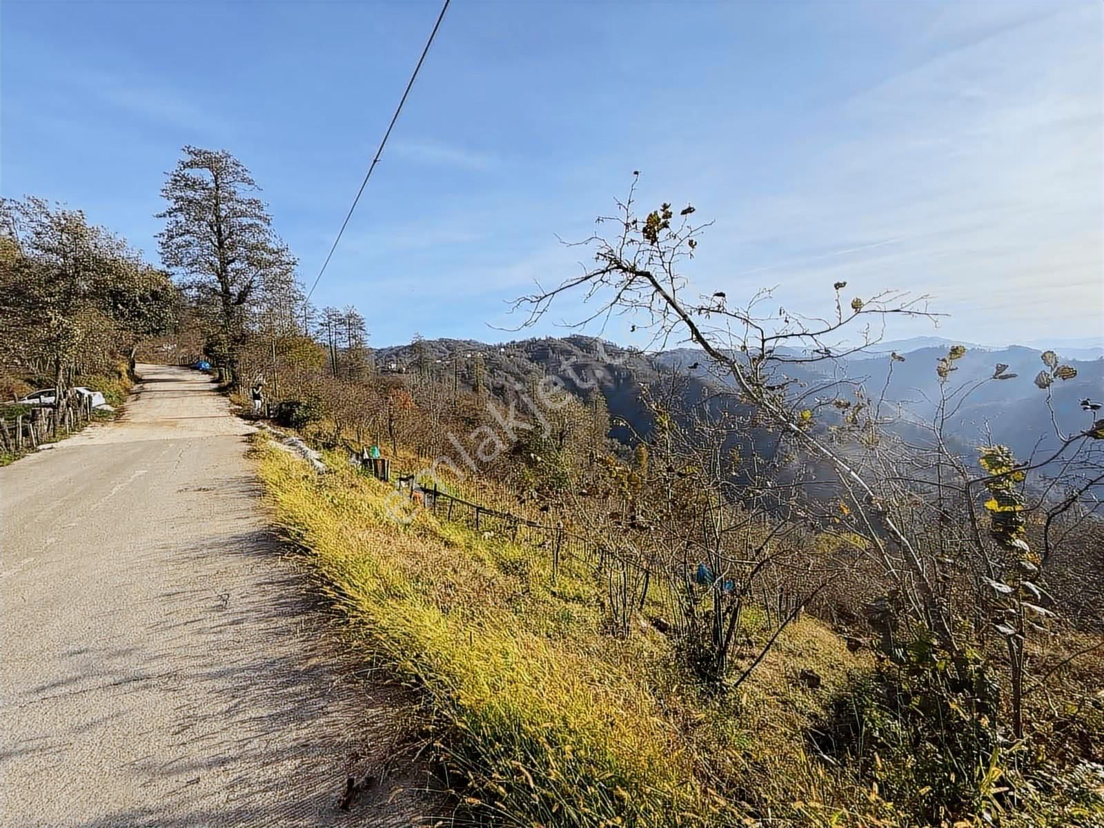 Reksa Gayrimenkul'den Perşembe Sırakovancıda Satılık Bahçe - Görsel 9