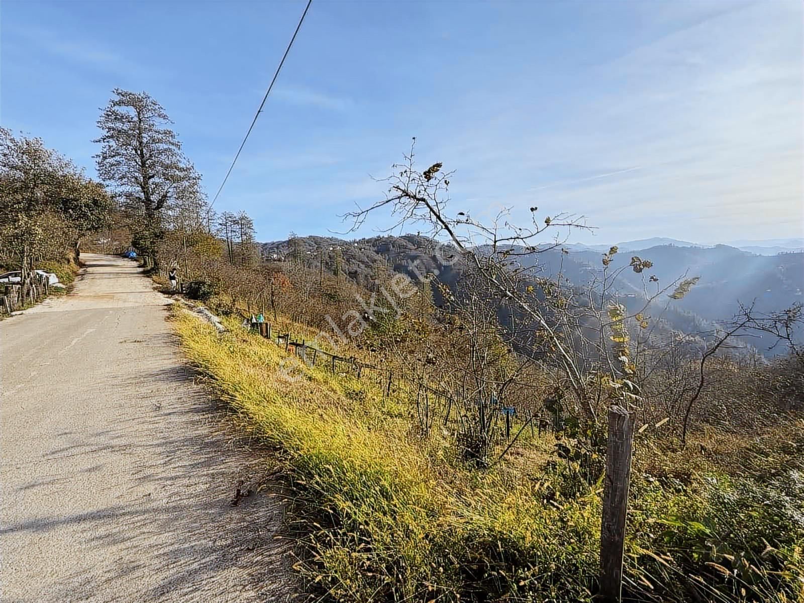 Reksa Gayrimenkul'den Perşembe Sırakovancıda Satılık Bahçe - Görsel 13