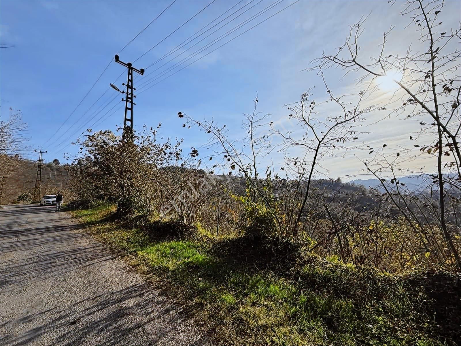 Reksa Gayrimenkul'den Perşembe Sırakovancıda Satılık Bahçe - Görsel 10