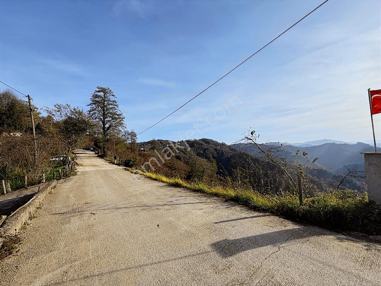 Reksa Gayrimenkul'den Perşembe Sırakovancıda Satılık Bahçe - Görsel 12