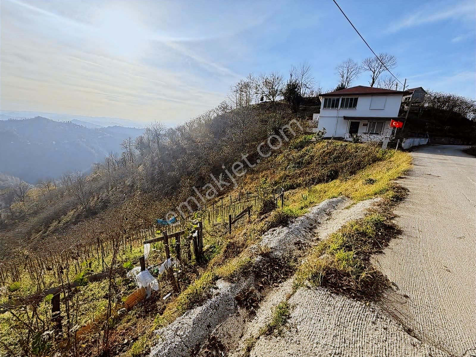 Reksa Gayrimenkul'den Perşembe Sırakovancıda Satılık Bahçe - Görsel 7