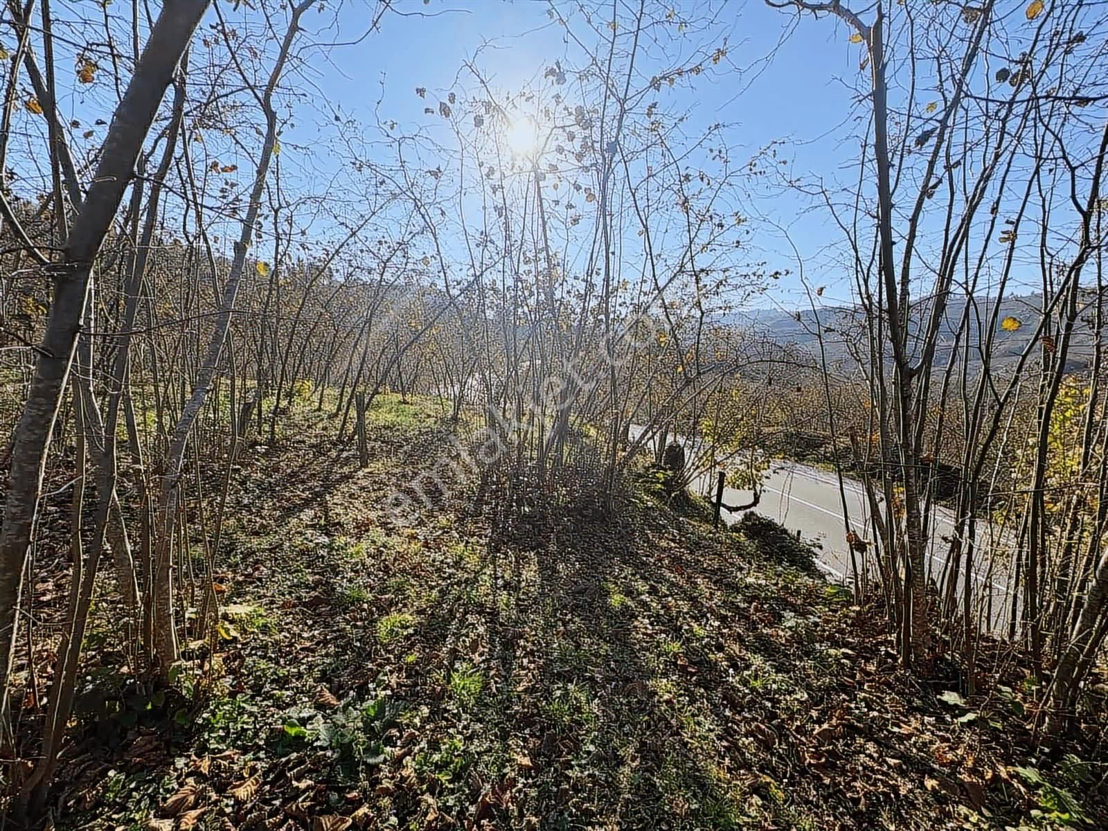 Reksa Gayrimenkul'den Kavraz Mh. 2930m2 Yola Sıfır Arsa - Görsel 13