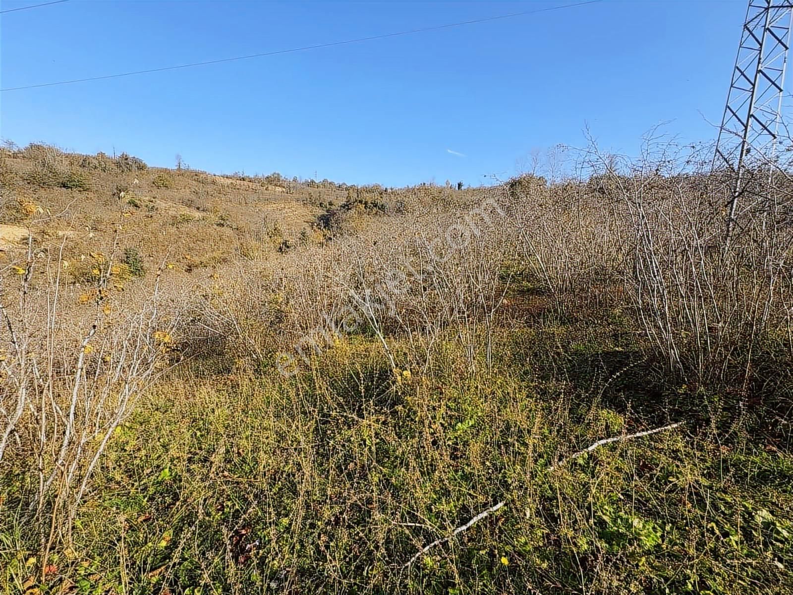 Reksa Gayrimenkul'den Kavraz Mh. 2930m2 Yola Sıfır Arsa - Görsel 4