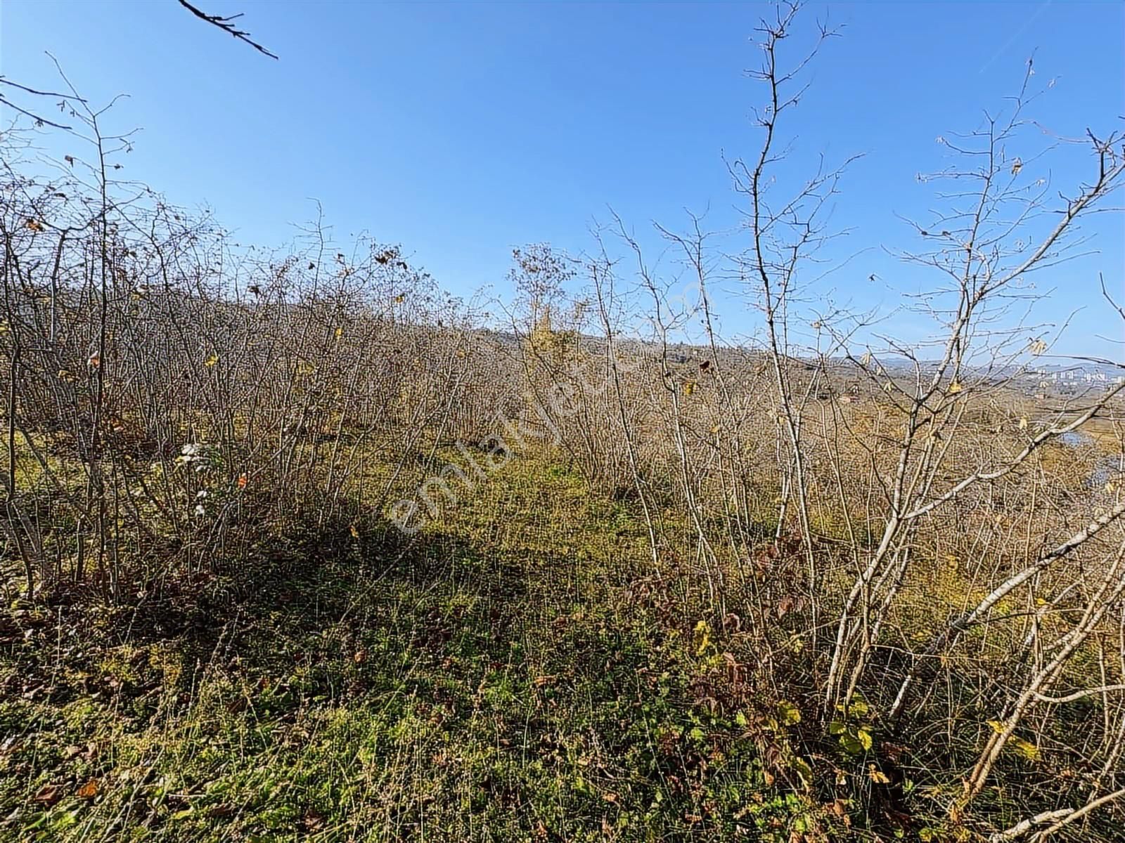 Reksa Gayrimenkul'den Kavraz Mh. 2930m2 Yola Sıfır Arsa - Görsel 22