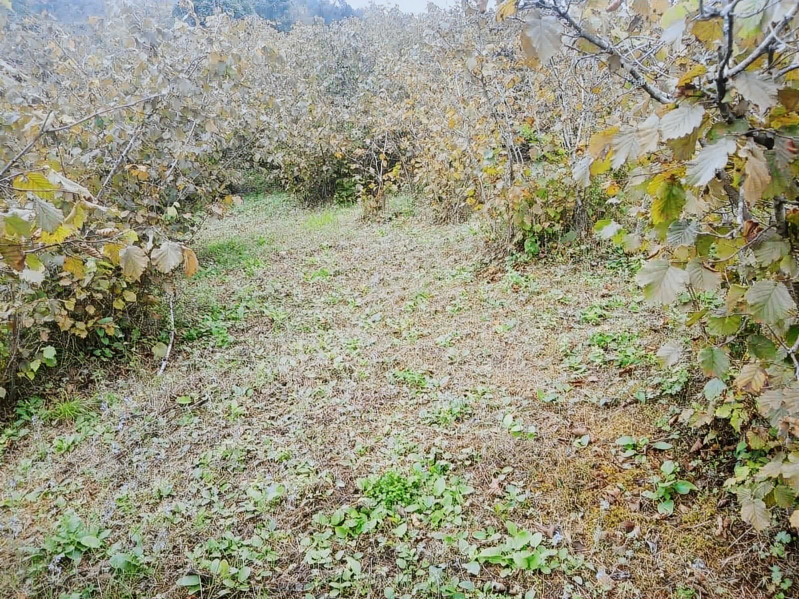 Reksa Gayrimenkul'den Kavraz Mh. 2930m2 Yola Sıfır Arsa - Görsel 18