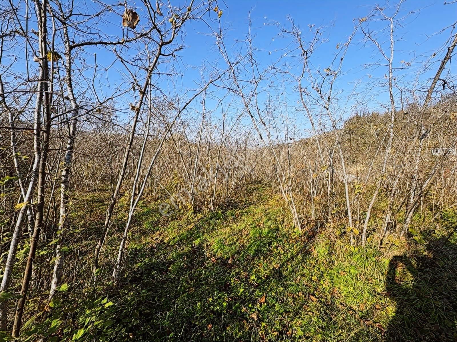Reksa Gayrimenkul'den Kavraz Mh. 2930m2 Yola Sıfır Arsa - Görsel 15