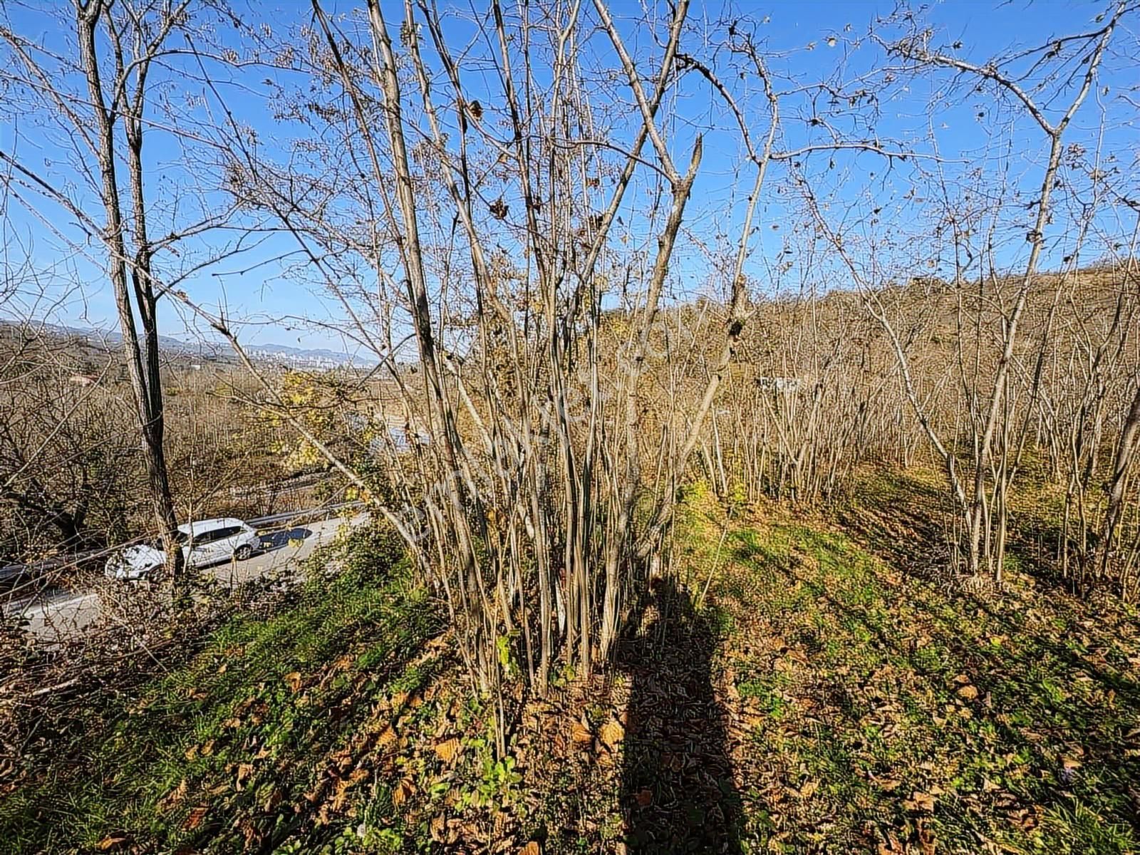 Reksa Gayrimenkul'den Kavraz Mh. 2930m2 Yola Sıfır Arsa - Görsel 19