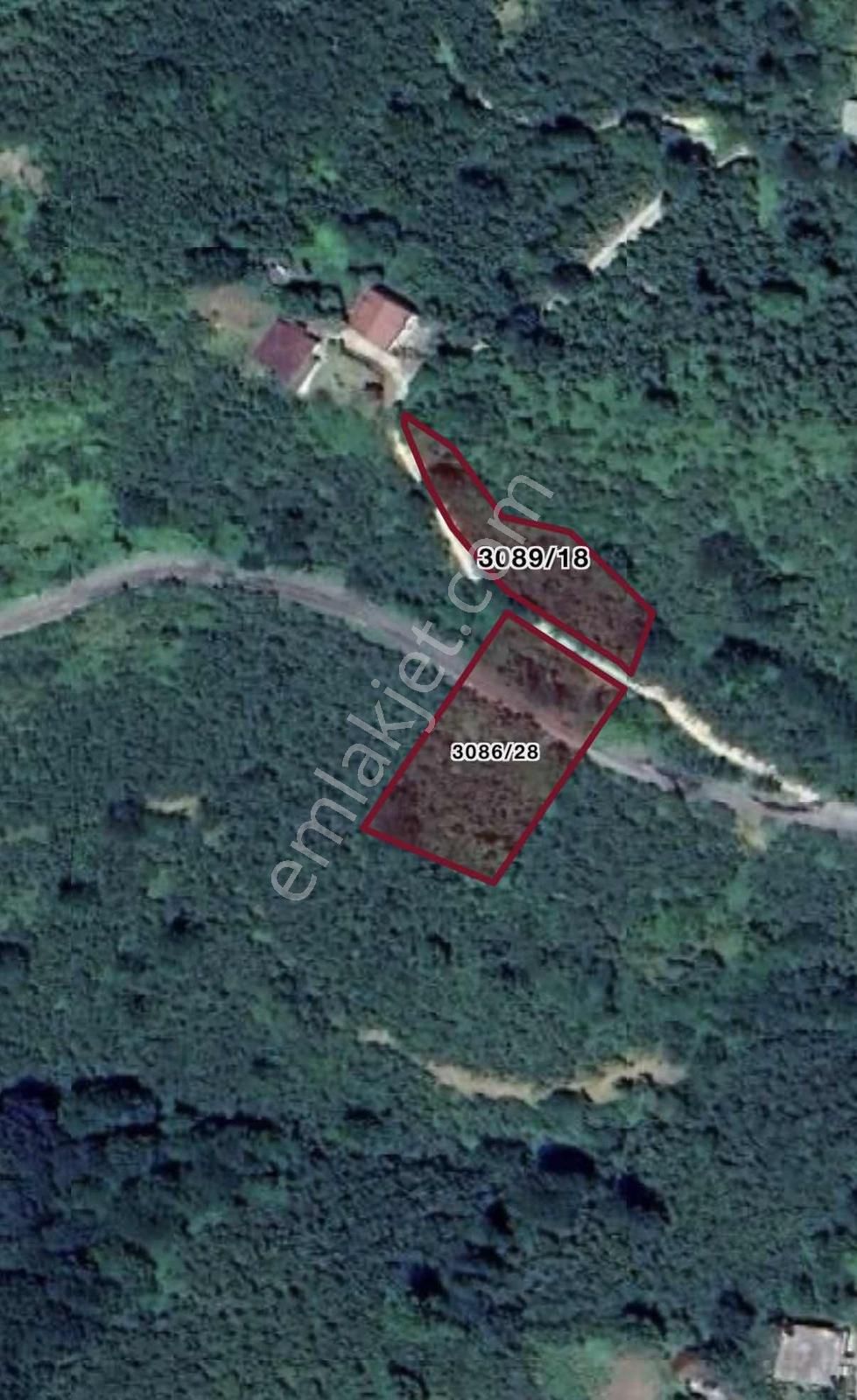 Reksa'dan Palazlı/kömürlük'de Satılık Fındık Bahçesi Arsa