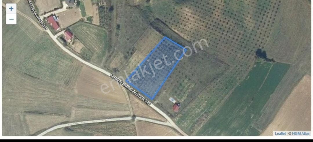 Kandıra Bozburunda Arsa (fındık Ağaçları Var) 2930 M2