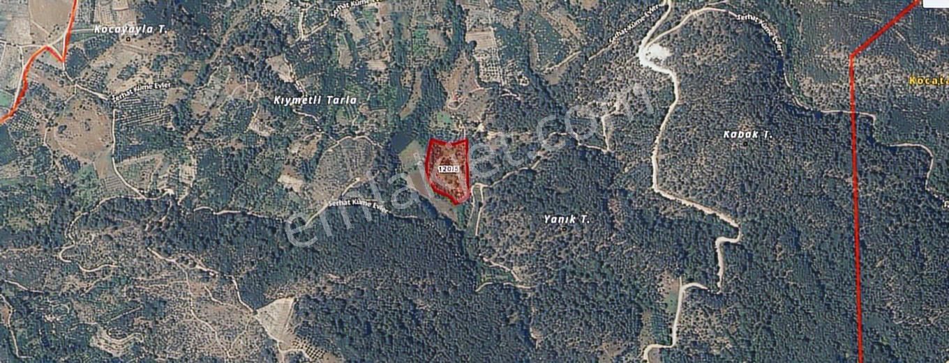 Eu Gayrimenkulden Çanakkale Bayramiç'te Satılık Kiraz Bahçesi - Görsel 7