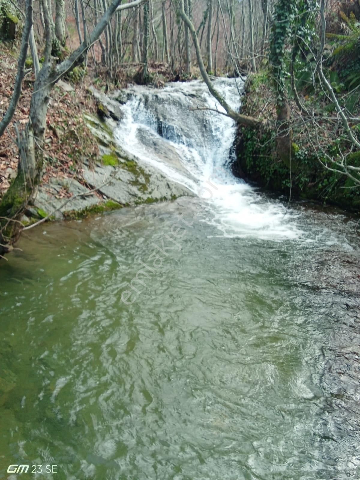 Eu Gayrimenkulden Çanakkale Bayramiç'te Satılık Kiraz Bahçesi - Görsel 5