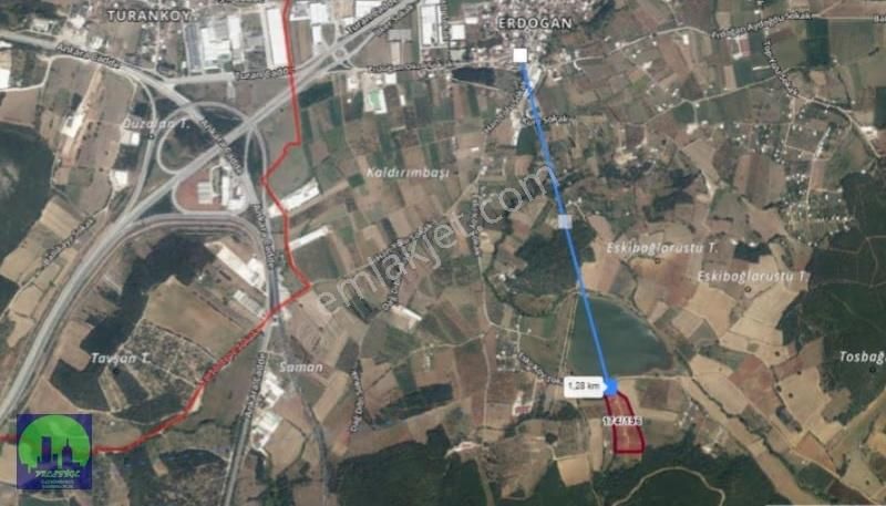 Erdoğan Köy'de Göl Manzaralı Resmi Tapulu Doğa Harikası Arazi - Görsel 3