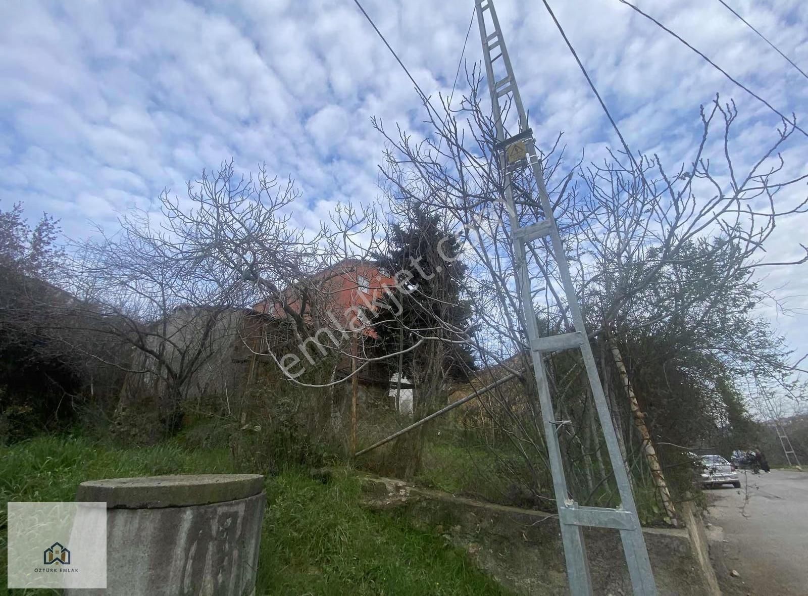 Pendik Sülüntepede 200m2 Gecekondulu Arsa - Görsel 15