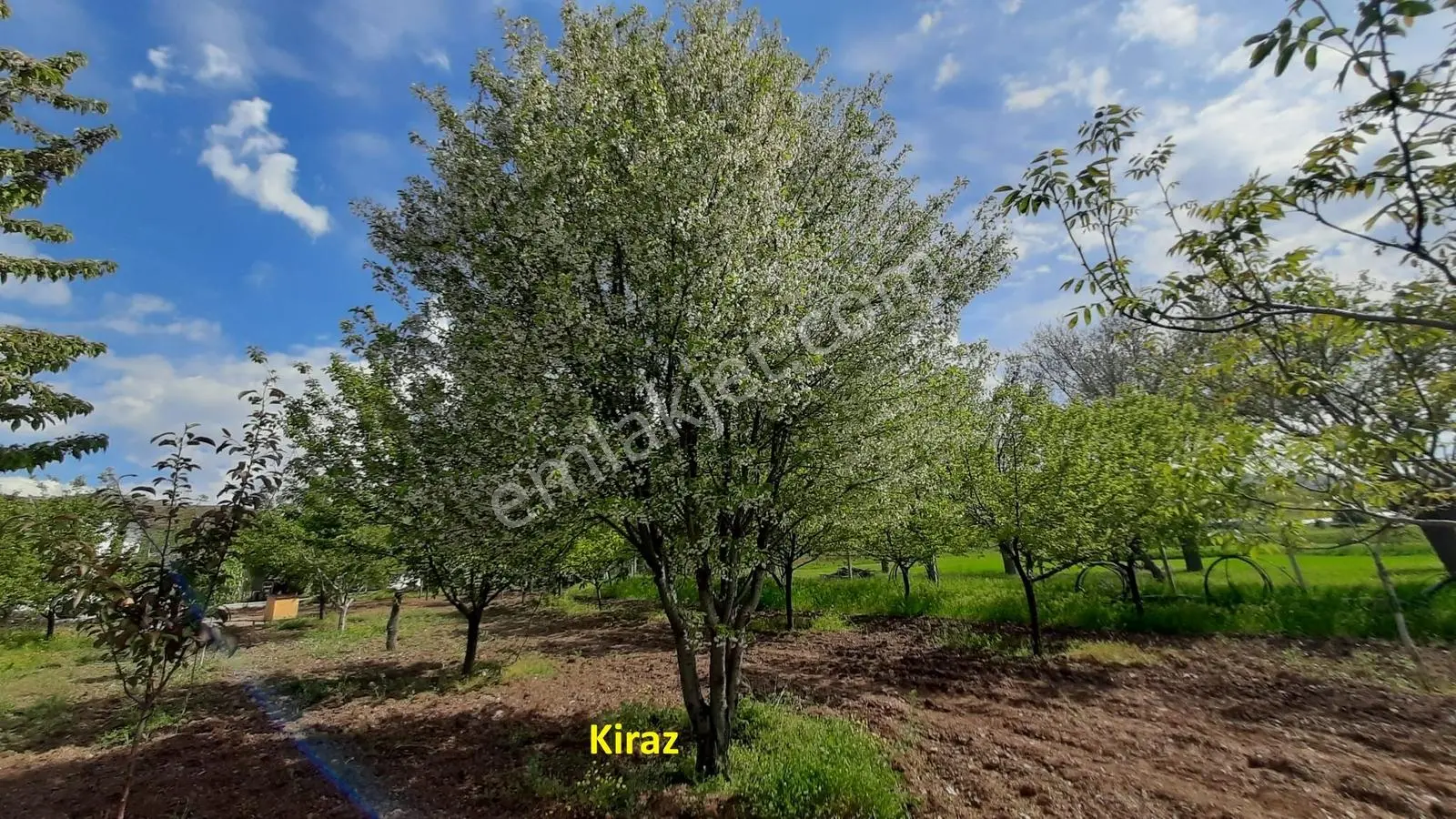 *nova* Gözebaşı'nda Satılık Kurulu Bahçe - Görsel 2