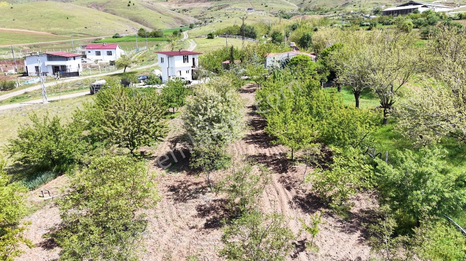 *nova* Gözebaşı'nda Satılık Kurulu Bahçe - Görsel 12