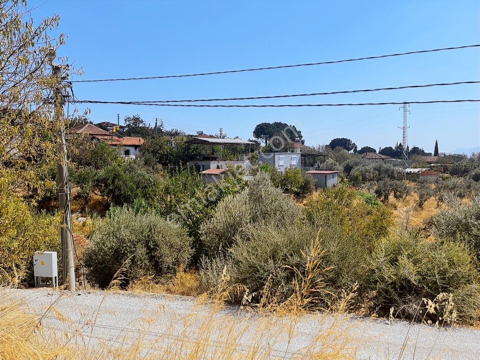 Torbalı Sahipler Mah 1546 M2 Köy İçi Tarla Ve Zeytinlik