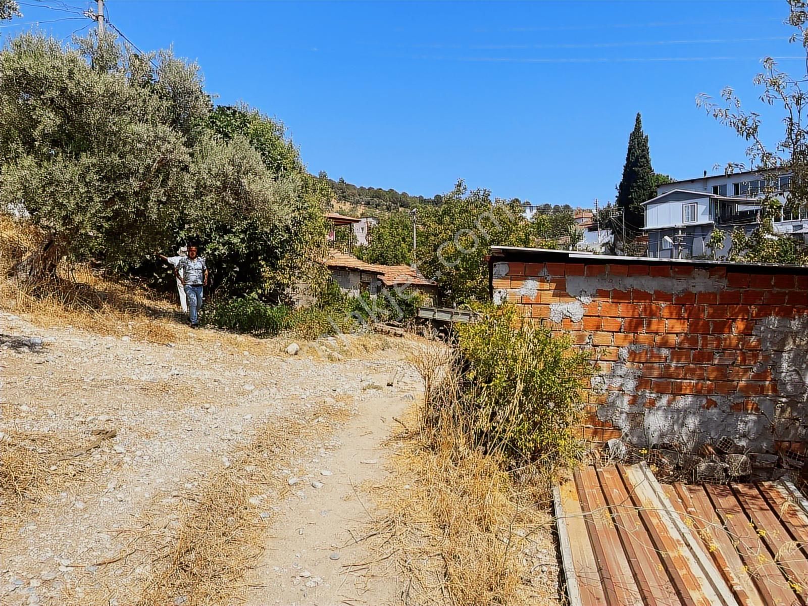 Torbalı Sahipler Mah 1546 M2 Köy İçi Tarla Ve Zeytinlik - Görsel 23