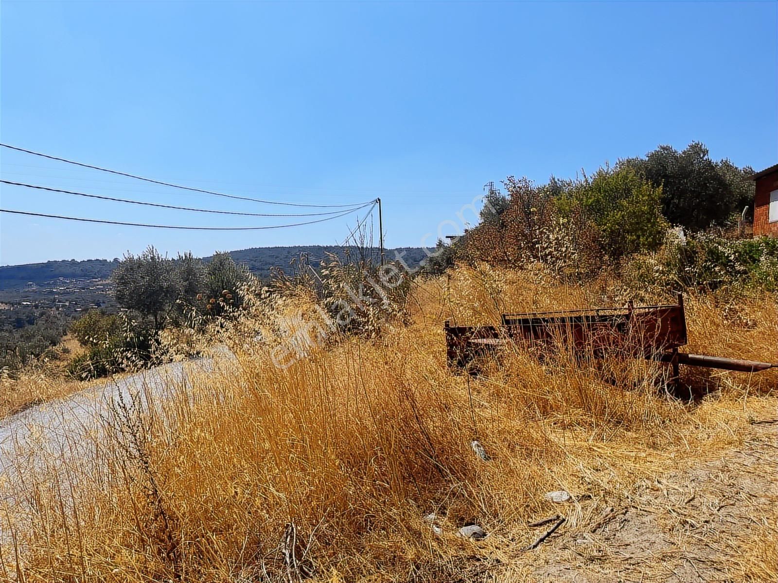 Torbalı Sahipler Mah 1546 M2 Köy İçi Tarla Ve Zeytinlik - Görsel 31