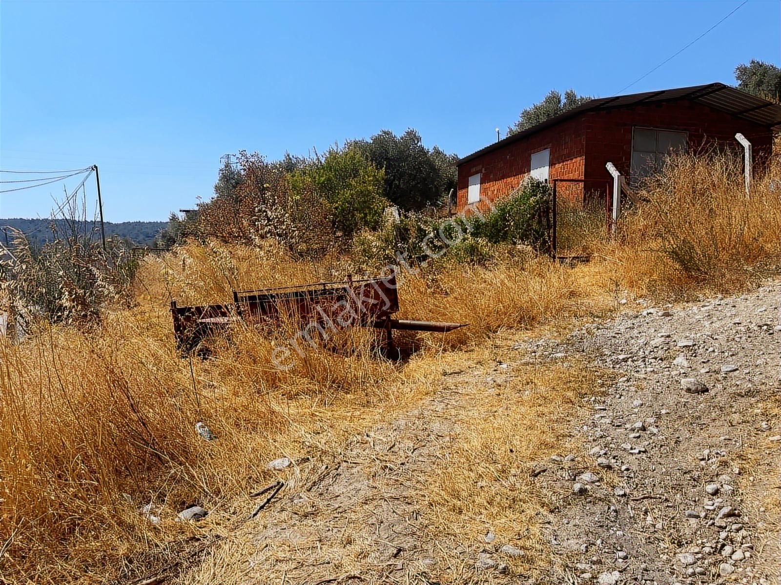 Torbalı Sahipler Mah 1546 M2 Köy İçi Tarla Ve Zeytinlik - Görsel 32