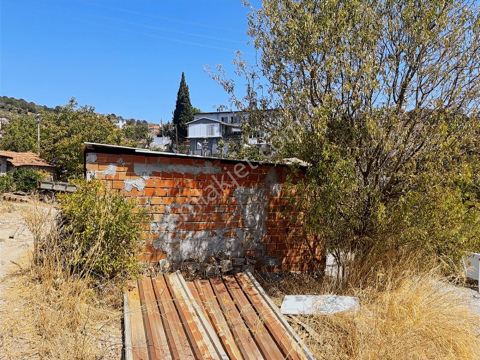 Torbalı Sahipler Mah 1546 M2 Köy İçi Tarla Ve Zeytinlik - Görsel 34