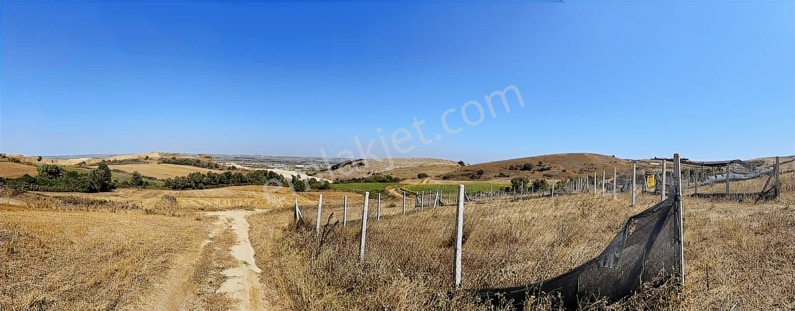 Dakik Emlaktan Muratbey Mah 303m² İçerisinde 21m² Kamelyalı Arsa - Görsel 16