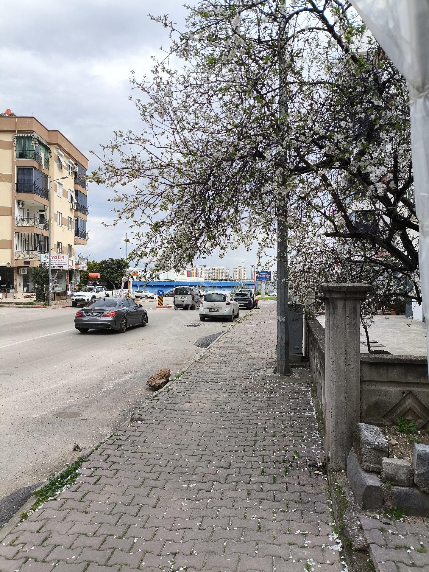 Gebizli Mahallesi 2+1 Ayrı Mutfak 2. Kat Kiralık Daire - Görsel 2