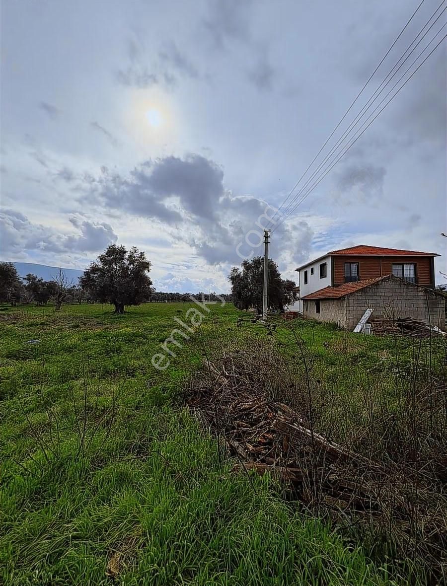 My Gayrımenkul'den Şevketiye'de İmar Sınırında 750m Arazi - Görsel 6