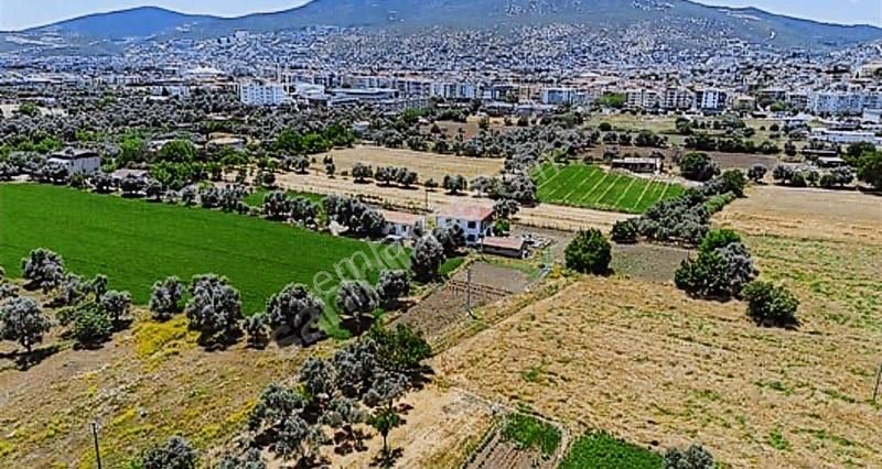 My Gayrımenkul'den Şevketiye'de İmar Sınırında 750m Arazi - Görsel 4