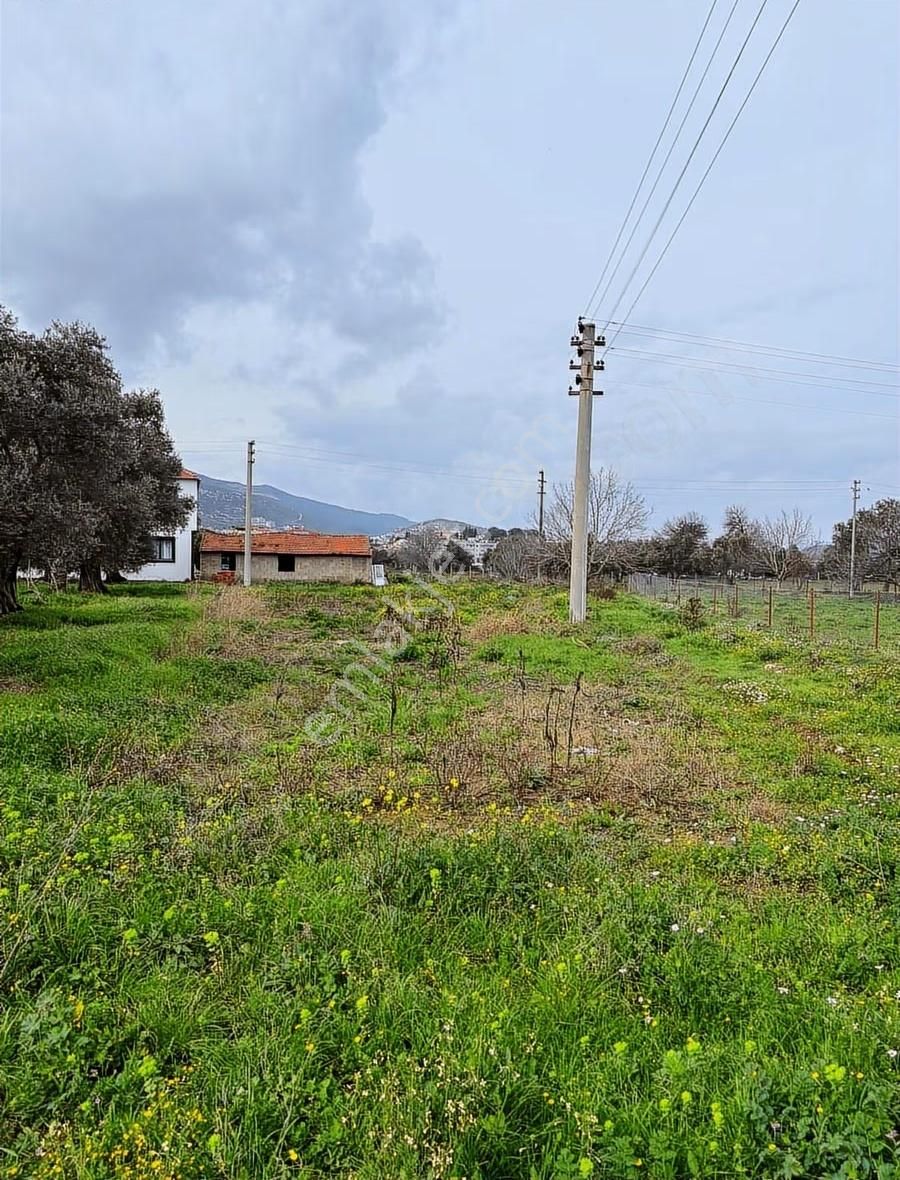 My Gayrımenkul'den Şevketiye'de İmar Sınırında 750m Arazi - Görsel 11