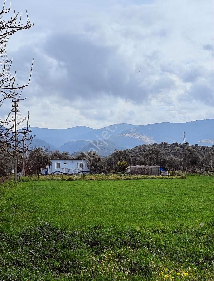 My Gayrımenkul'den Şevketiye'de İmar Sınırında 750m Arazi - Görsel 5