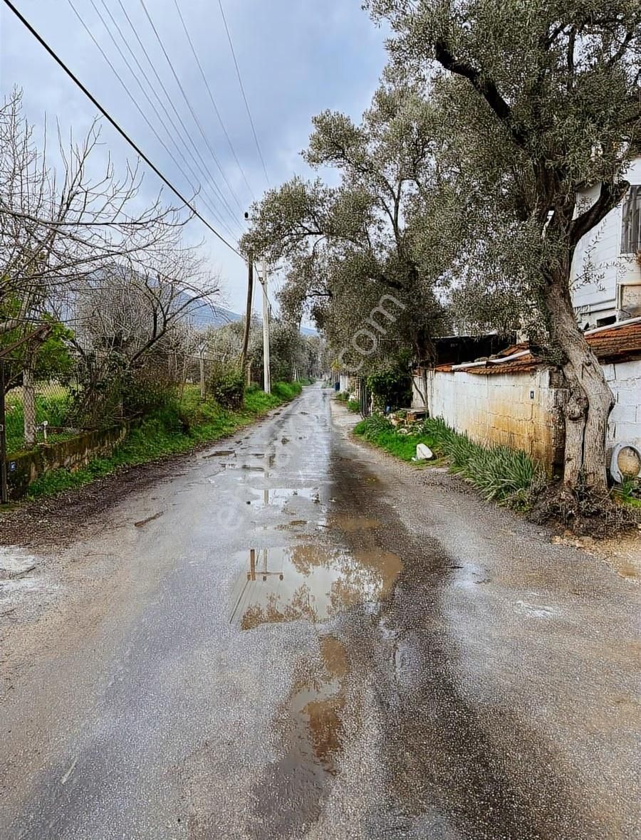 My Gayrımenkul'den Şevketiye'de İmar Sınırında 750m Arazi - Görsel 10