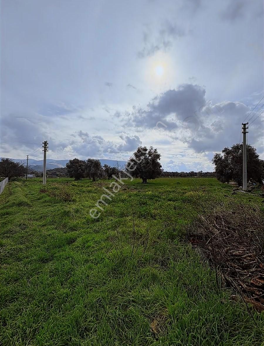 My Gayrımenkul'den Şevketiye'de İmar Sınırında 750m Arazi - Görsel 8