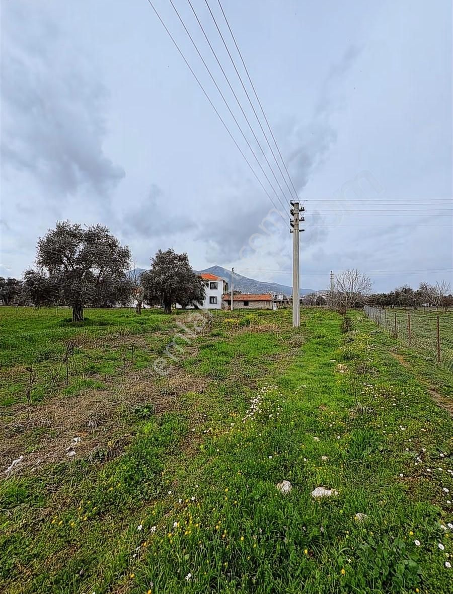 My Gayrımenkul'den Şevketiye'de İmar Sınırında 750m Arazi - Görsel 2