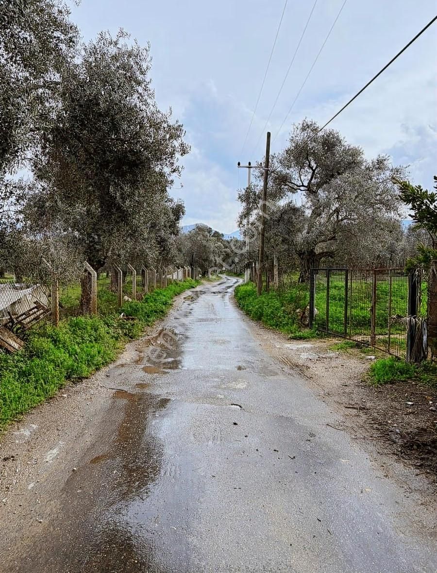 My Gayrımenkul'den Şevketiye'de İmar Sınırında 750m Arazi - Görsel 7