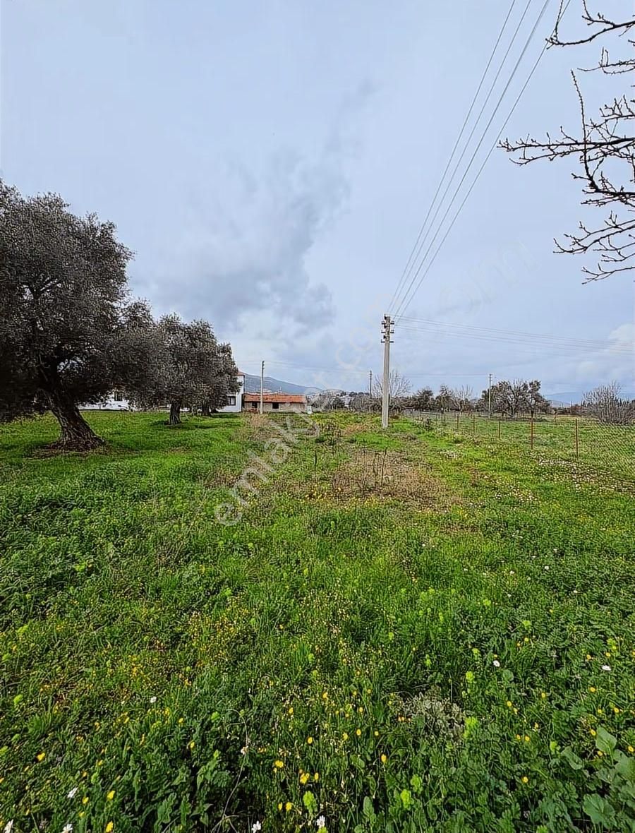 My Gayrımenkul'den Şevketiye'de İmar Sınırında 750m Arazi - Görsel 3