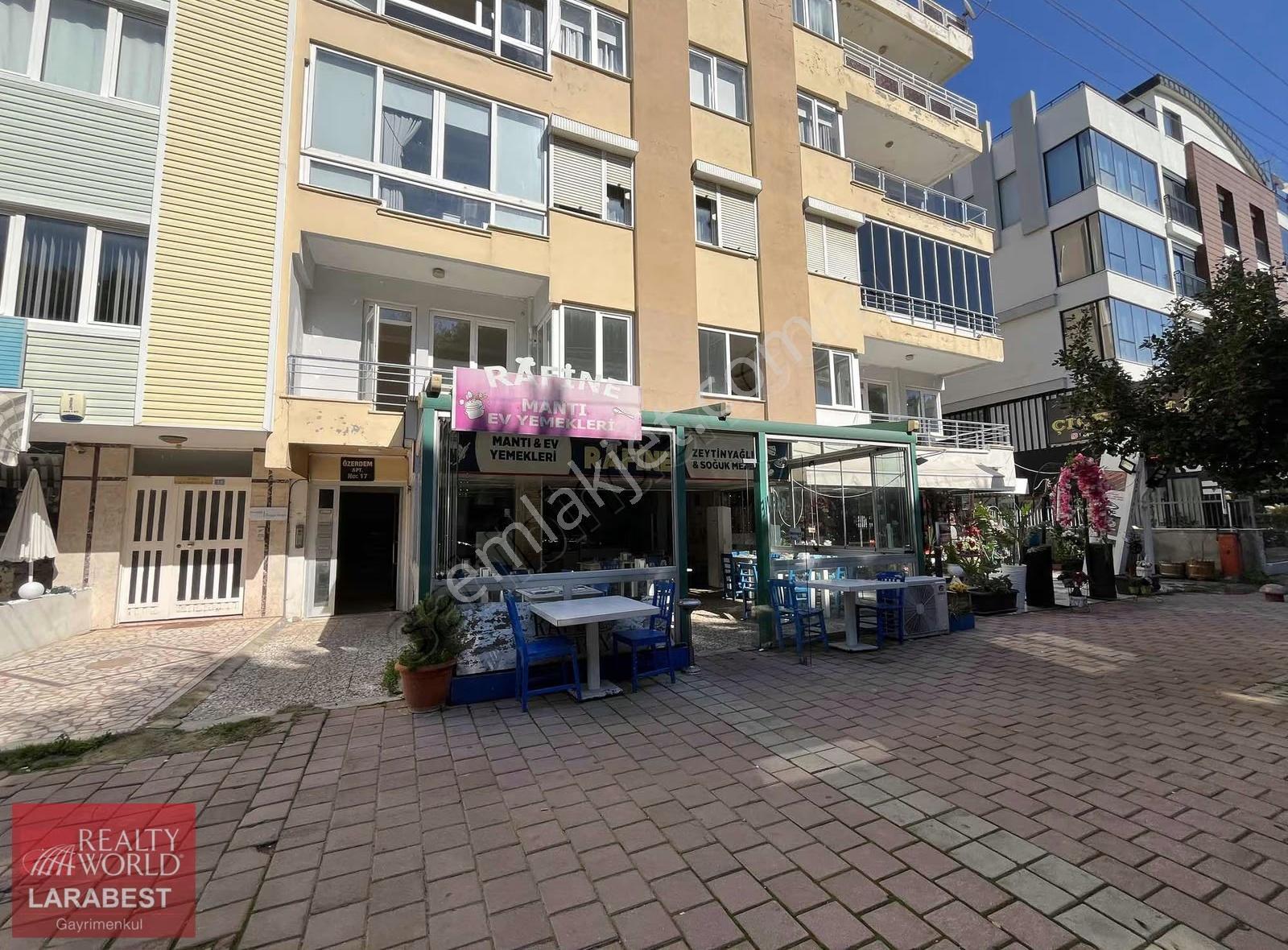 Barınaklarda Cadde Üzeri Tabela Değeri Yüksek Ev Yemekcisi