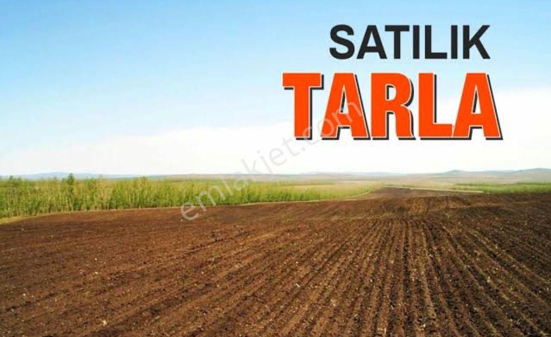 Acıpayam Merkezde Satılık Kaçırılmayacak 5.940 Mt2 Fırsat Yatırımlık Tarla - Görsel 2