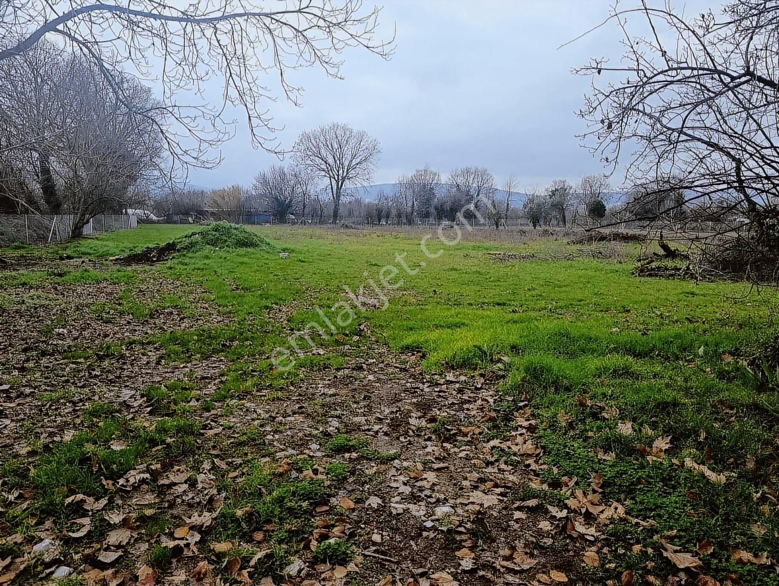 Muğla Menteşe Karabağlar Yaylası'nda Satılık 5455m² Tarla - Görsel 20