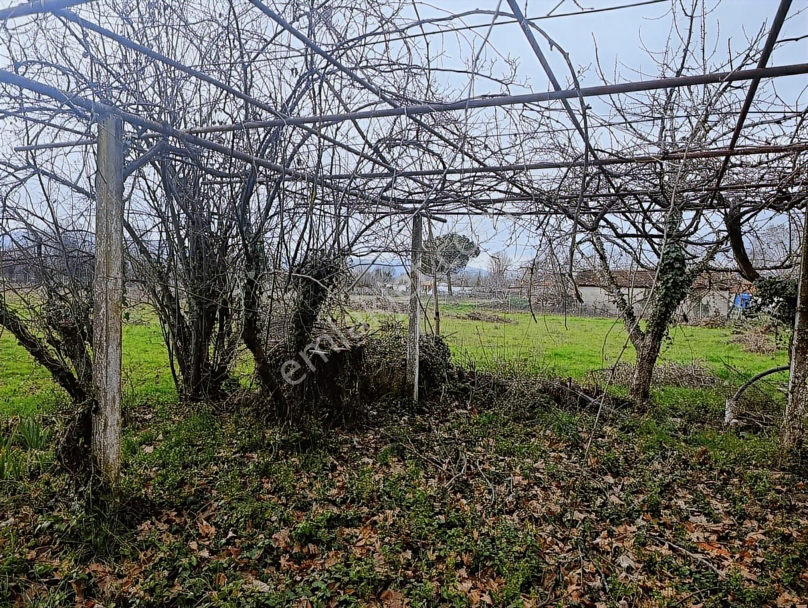 Muğla Menteşe Karabağlar Yaylası'nda Satılık 5455m² Tarla - Görsel 13