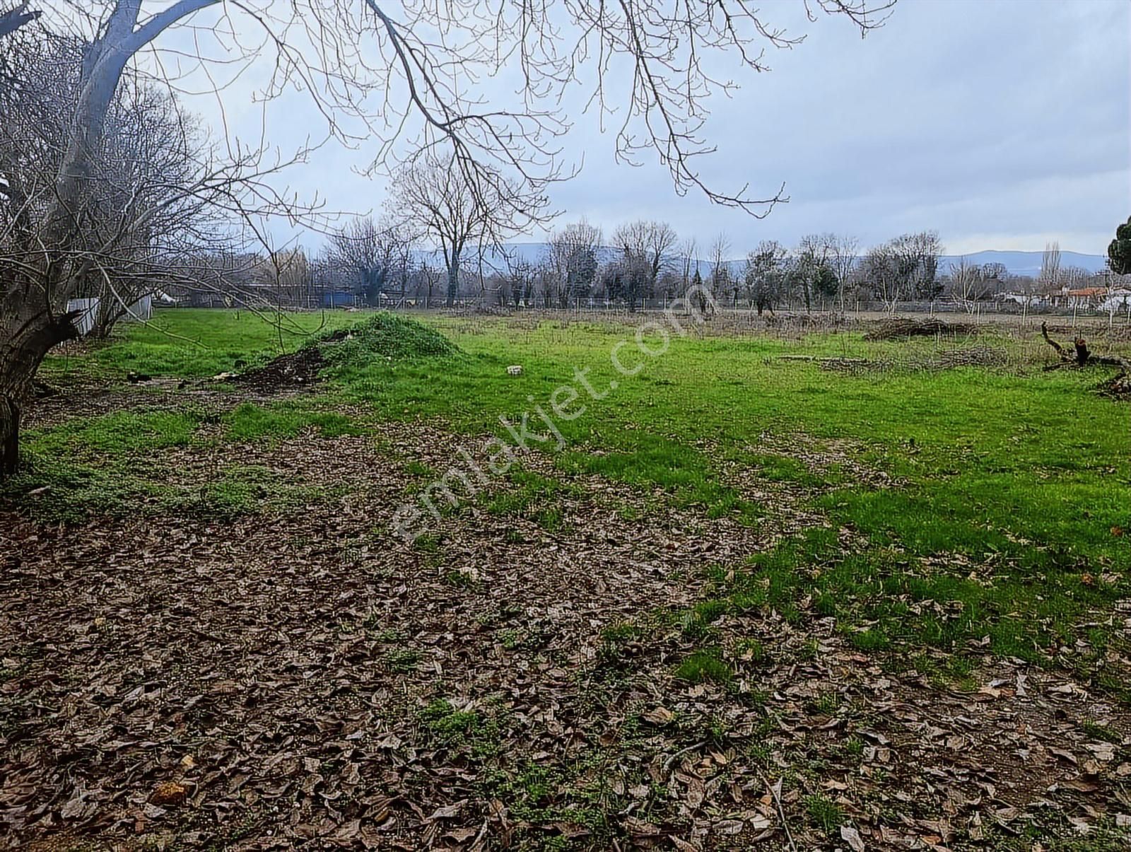 Muğla Menteşe Karabağlar Yaylası'nda Satılık 5455m² Tarla - Görsel 7