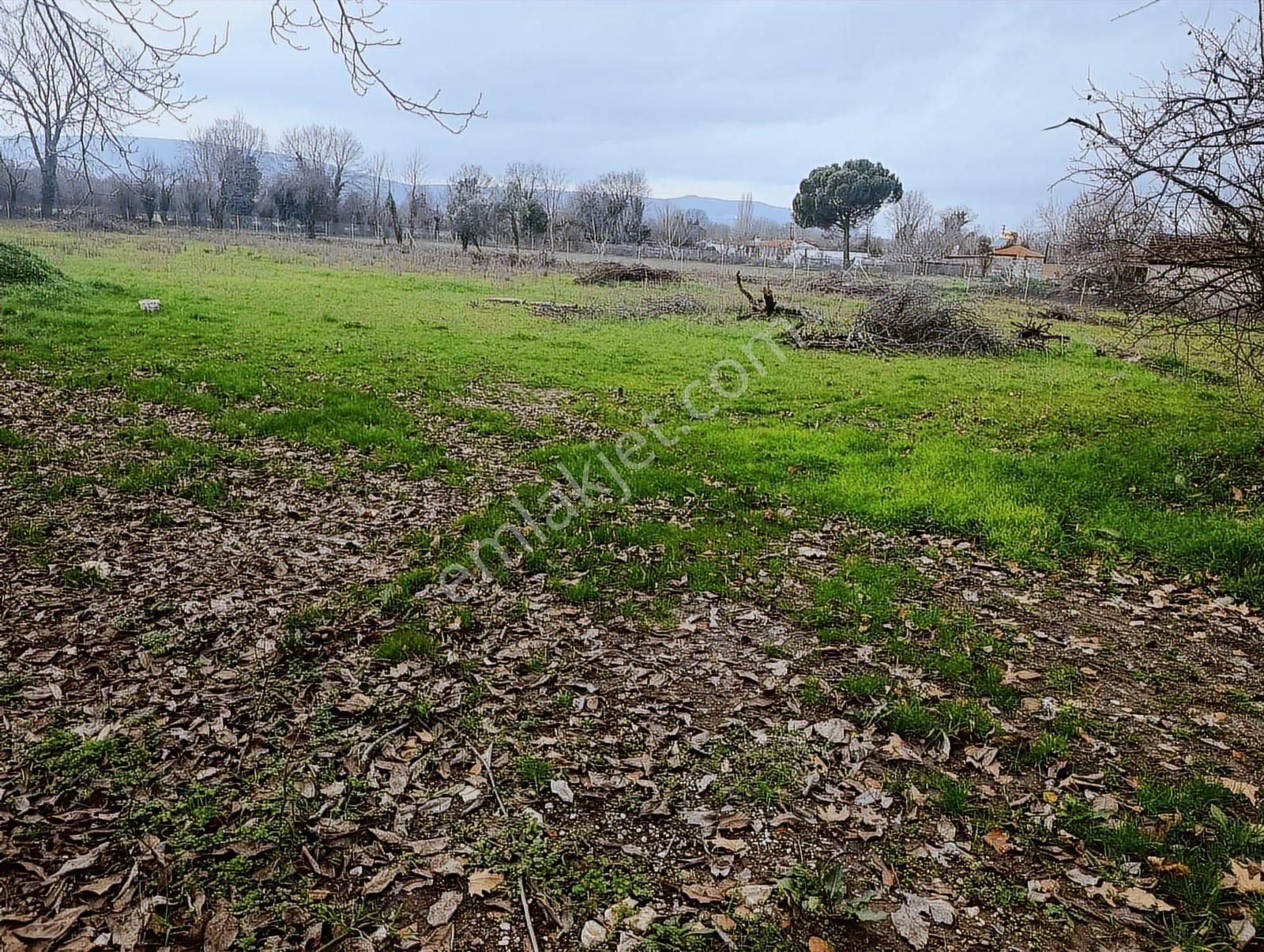 Muğla Menteşe Karabağlar Yaylası'nda Satılık 5455m² Tarla - Görsel 23