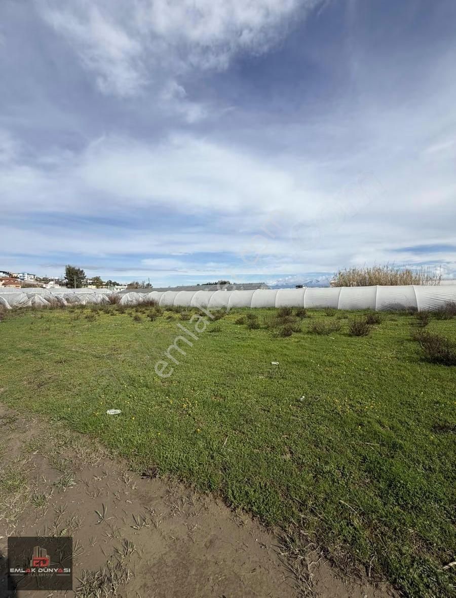 Mandırlarda Yola Cephe