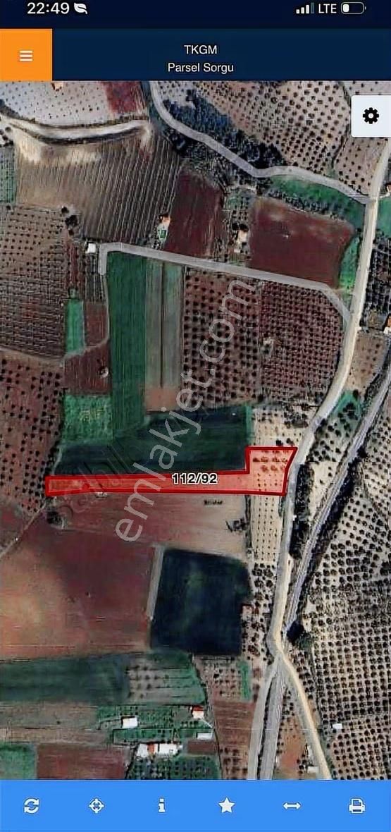 Akgün'den Beyce Mah. Satılık Zeytinlik - Görsel 18