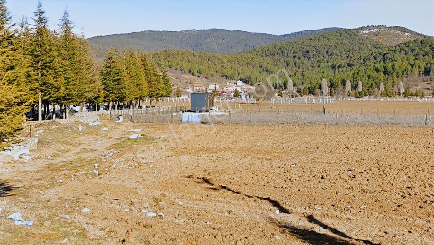 Antalya Akseki Cevizli Satılık Tek Tapu Arazi Ve Tıny House - Görsel 11