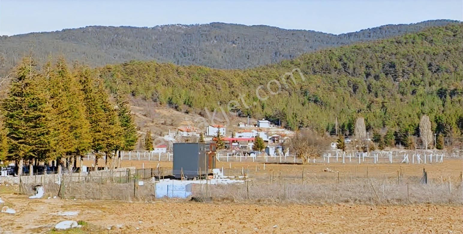 Antalya Akseki Cevizli Satılık Tek Tapu Arazi Ve Tıny House