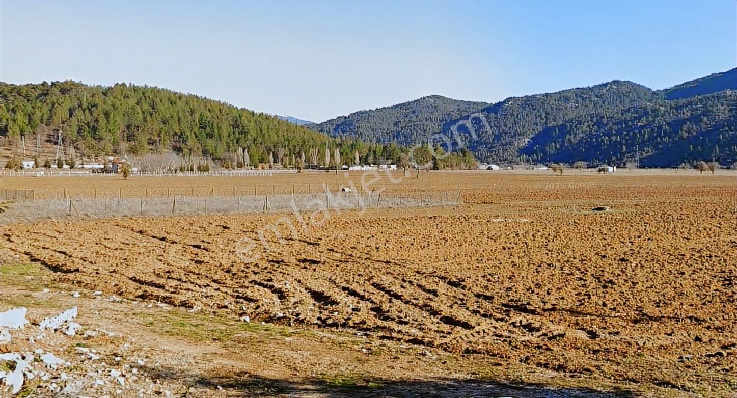 Antalya Akseki Cevizli Satılık Tek Tapu Arazi Ve Tıny House - Görsel 7